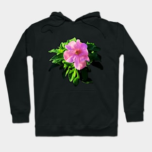 Beautiful Pink flower Hoodie